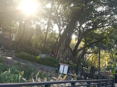-晓港公园