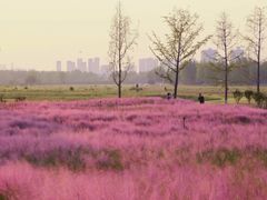 -汉长安城未央宫国家考古遗址公园