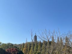 -焦山风景区