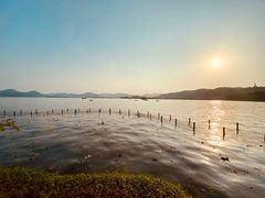 -湖畔居茶楼(湖滨店)