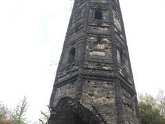 -上海佘山国家森林公园天马山园