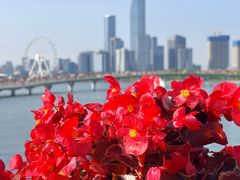 -金鸡湖景区