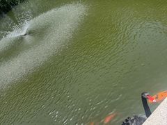 -练塘古镇