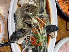 -必点海鲜·鲅鱼水饺(鞍山西道店)