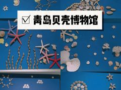 -青岛贝壳博物馆