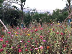 -南京市江宁方山