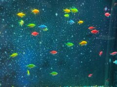 -常州海昌海洋探索馆