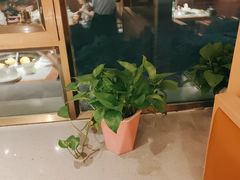-五谷虫子鸡(医学院店)