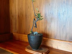 -慈云斋·24节气素食