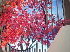 -享悦轻奢SPA(安州区店)