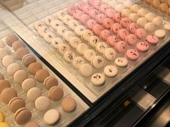 -BLACKSWAN黑天鹅(环球店)