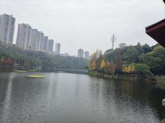 -重庆彩云湖湿地公园