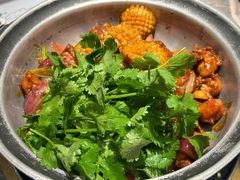 -禄婶鸡煲·打边炉