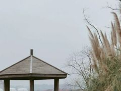 -上海山野camping·户外天幕烧烤·团建拓展营地