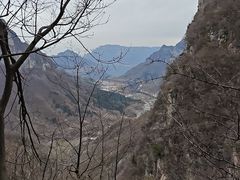 -王莽岭风景区