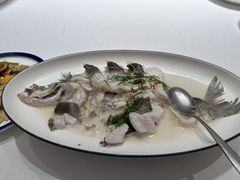 姜葱盐水蒸大和顺鱼-山泉公馆酒家(珠江新城店)