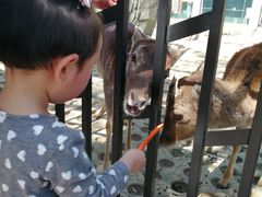 -西安秦岭野生动物园
