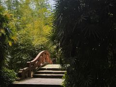 -望江楼公园