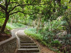 -黄埔油麻山森林公园
