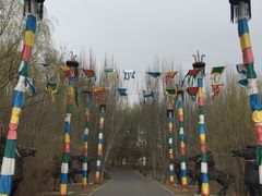 -赛汗塔拉风情园