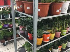 -大润发(东台店)