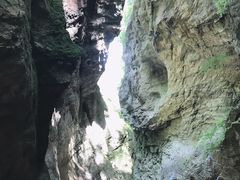 -牛背梁国家森林公园