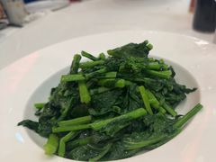 清炒板蓝根-玉华台饭庄·淮扬菜·烤鸭(望京店)