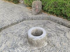 -上海佘山国家森林公园天马山园