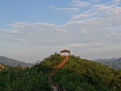 -大岭沟猕猴桃谷风景区