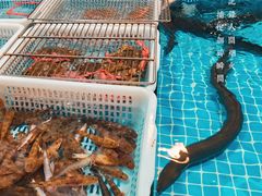 -都斛海鲜街