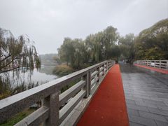 -大兴滨河森林公园