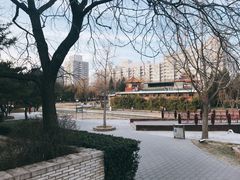 -元大都城垣遗址公园