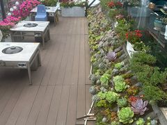 -野菌皇海景野生菌火锅(滨海大道店)