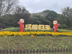 -上海野生动物园