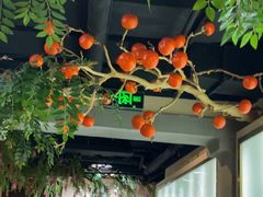 -小方外婆菜(蒙山路店)