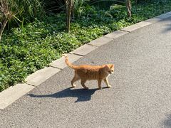 -晓港公园