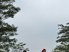 -白石龙音乐公园