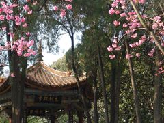 -昆明动物园