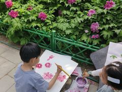 -太阳宫公园