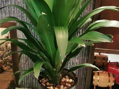 -泸州唯逸酒店(大山坪警察学院店)