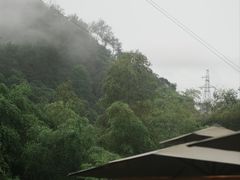 -原乡芦茨咖啡