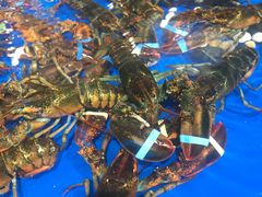 -盒马鲜生(莱蒙都会店)