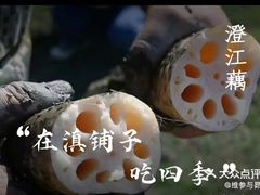 -滇铺子·云南特色菜·第九届野生菌美食节(曲靖万达店)