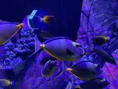 -成都浩海立方海洋公园