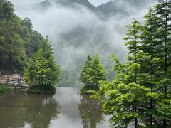 -刘伯温故里景区百丈漈