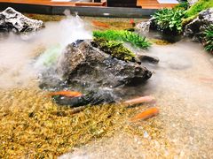 -森味薪火烧•烧鸟居酒屋•日本料理(望京店)