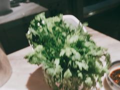 -同仁四季椰子鸡(福田东园总店)
