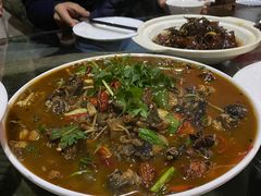 生炒辣子鸡-思普雅苑