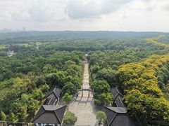 -宜兴龙背山森林公园
