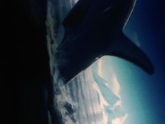 -济南方特东方神画